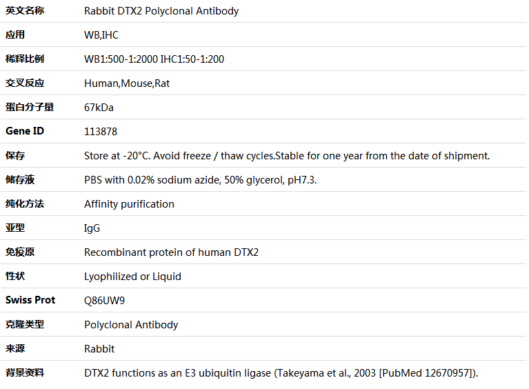 DTX2 Antibody,索莱宝,K005228P-50ul