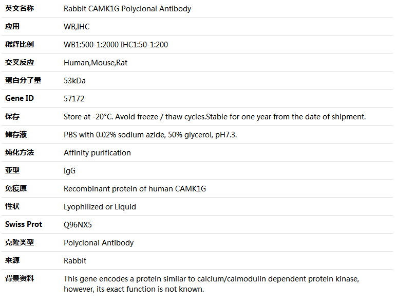CAMK1G Antibody,索莱宝,K005218P-100ul
