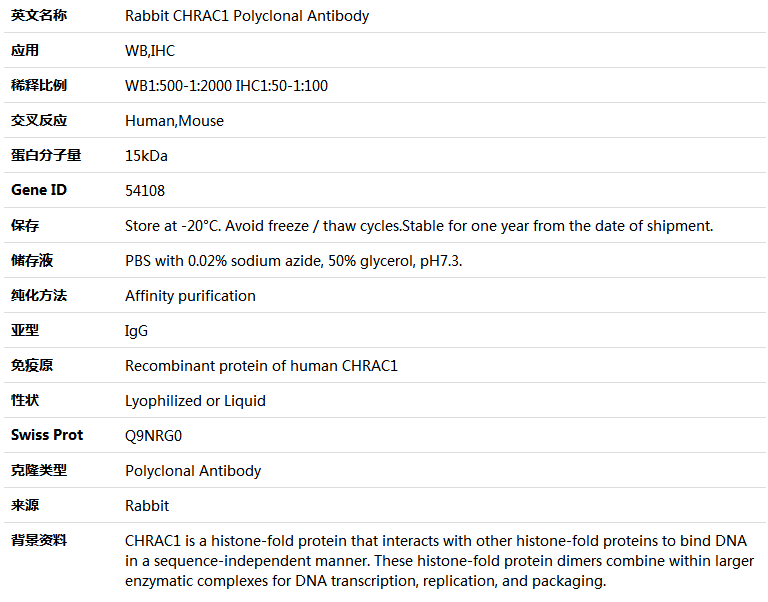 CHRAC1 Antibody,索莱宝,K005213P-50ul