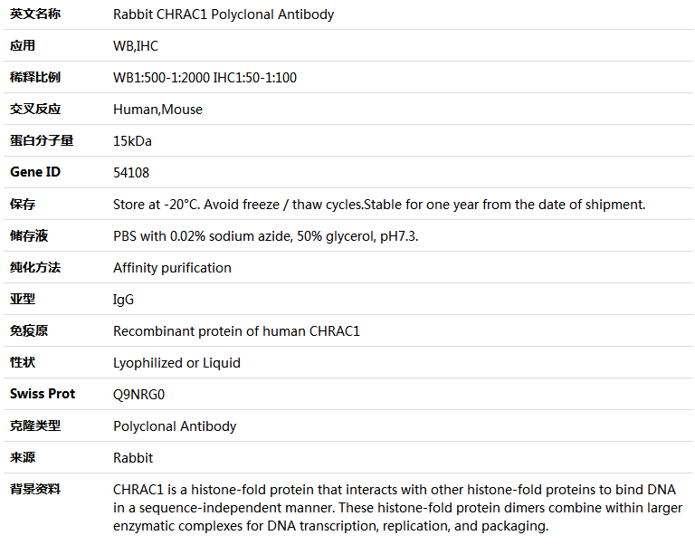 CHRAC1 Antibody,索莱宝,K005213P-100ul