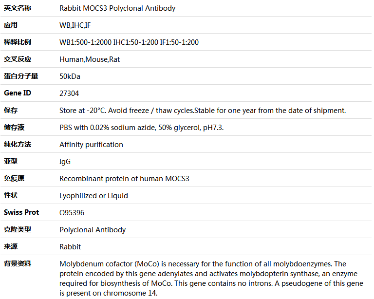 MOCS3 Antibody,索莱宝,K005209P-50ul