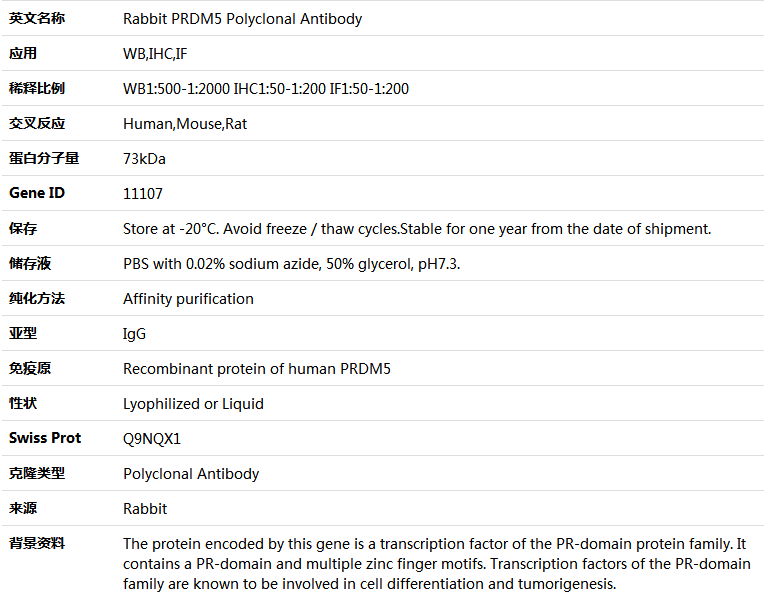 PRDM5 Antibody,索莱宝,K005204P-100ul