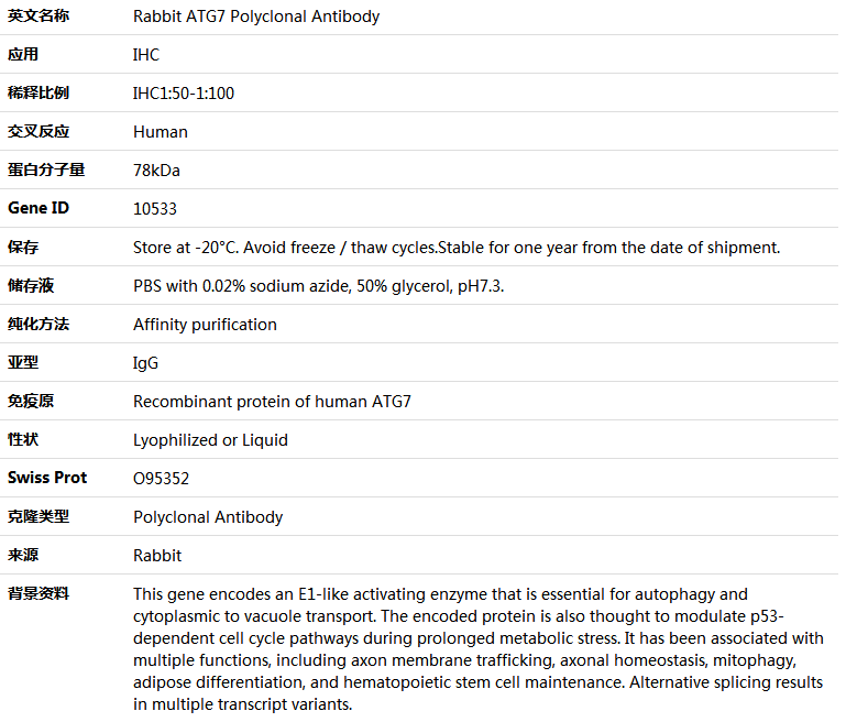 ATG7 Antibody,索莱宝,K005203P-50ul