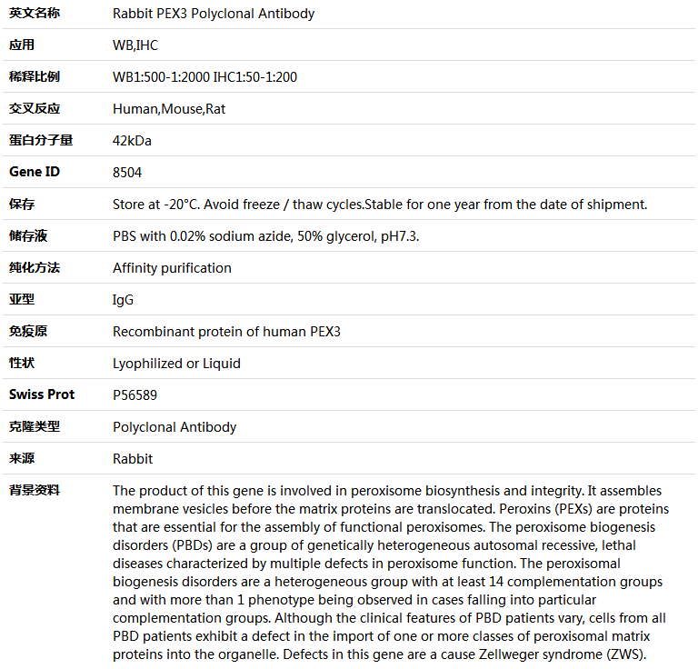 PEX3 Antibody,索莱宝,K005196P-100ul