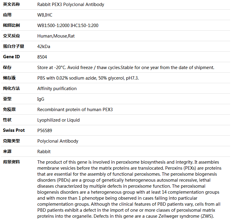 PEX3 Antibody,索莱宝,K005196P-50ul