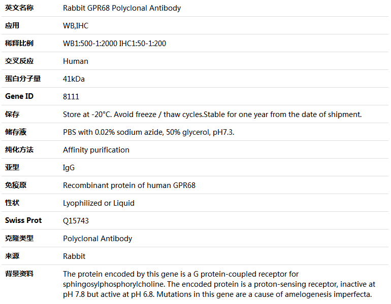 GPR68 Antibody,索莱宝,K005193P-100ul
