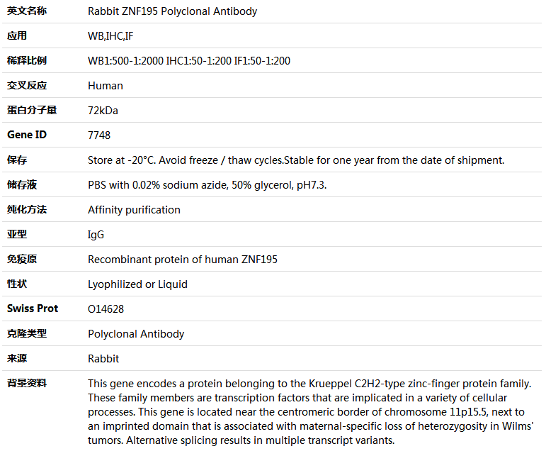 ZNF195 Antibody,索莱宝,K005192P-100ul