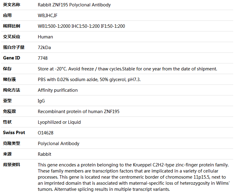 ZNF195 Antibody,索莱宝,K005192P-50ul