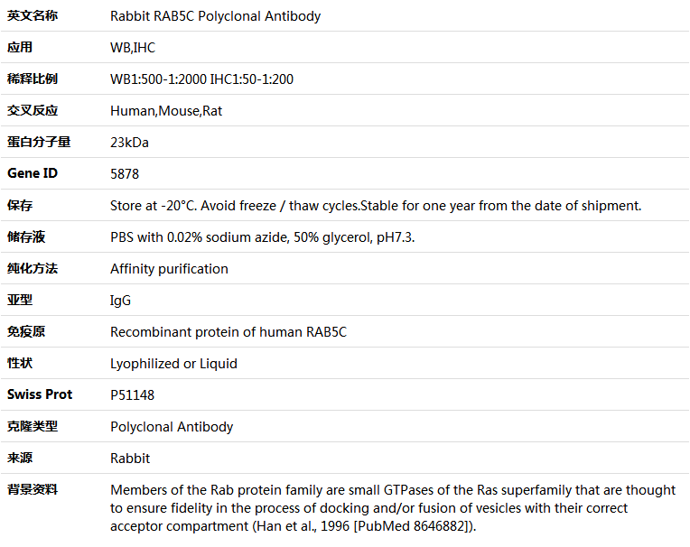 RAB5C Antibody,索莱宝,K005188P-100ul