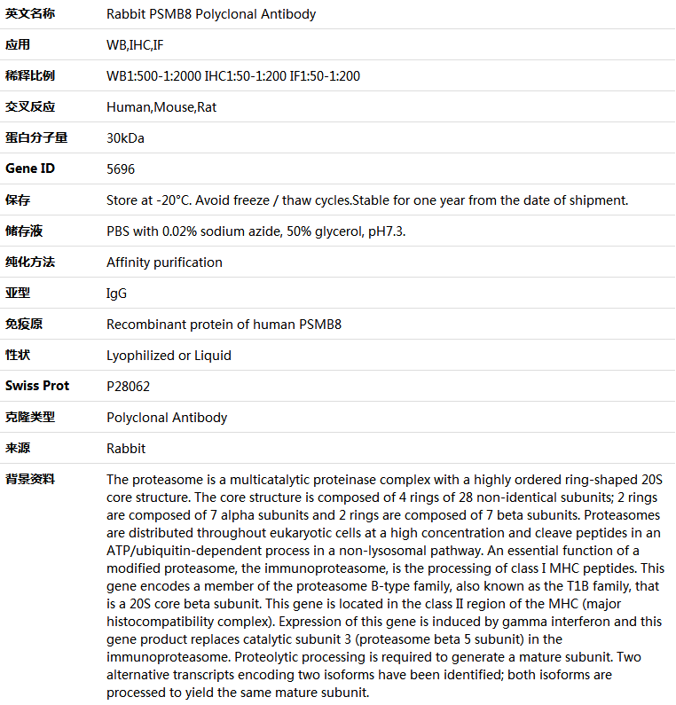 PSMB8 Antibody,索莱宝,K005186P-100ul