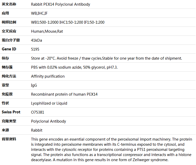 PEX14 Antibody,索莱宝,K005183P-50ul