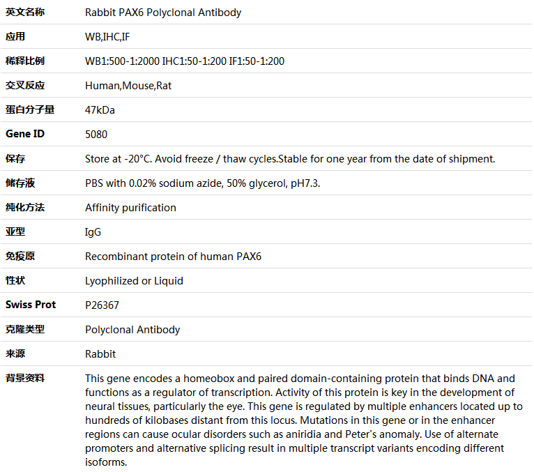 PAX6 Antibody,索莱宝,K005181P-100ul