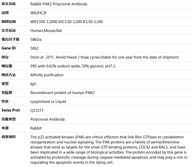 EPHA1 Antibody,索莱宝,K005176P-100ul