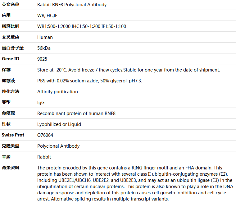 RNF8 Antibody,索莱宝,K005155P-50ul