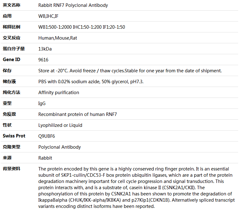 RNF7 Antibody,索莱宝,K005154P-100ul