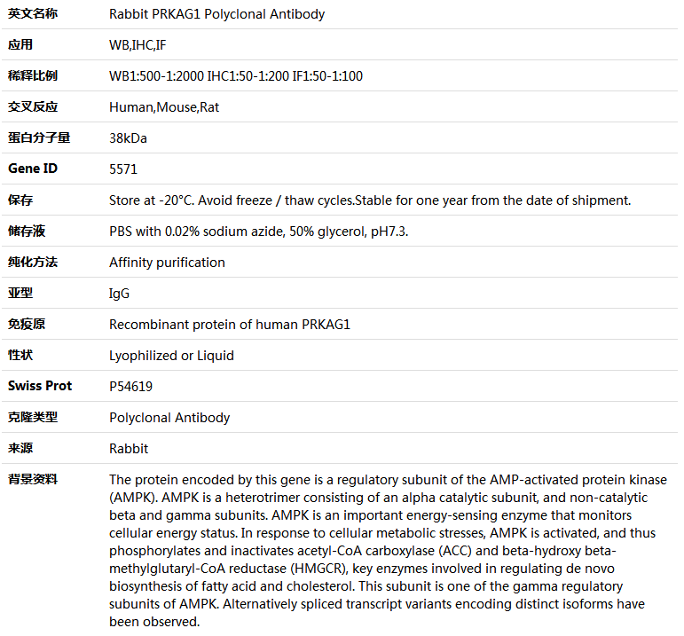 PRKAG1 Antibody,索莱宝,K005153P-100ul