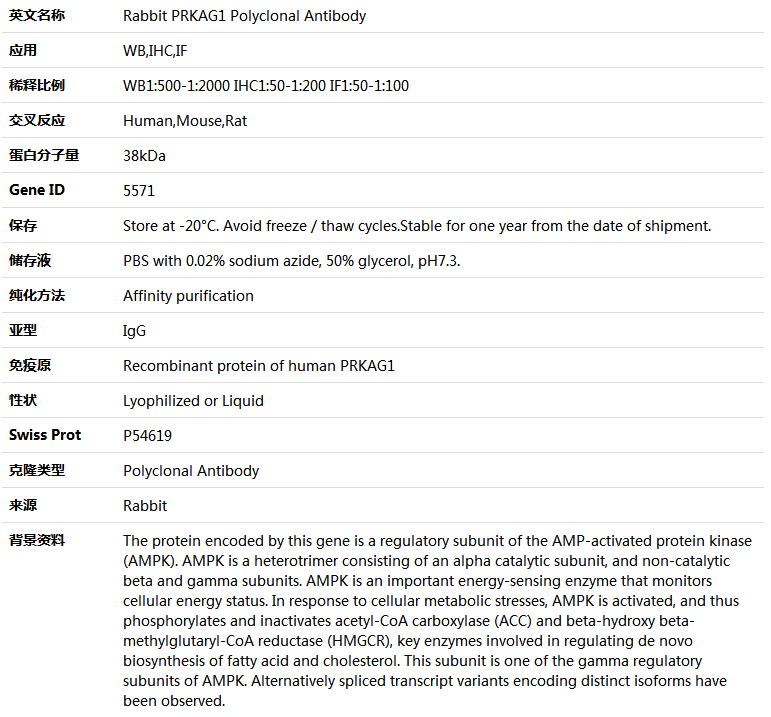 PRKAG1 Antibody,索莱宝,K005153P-50ul