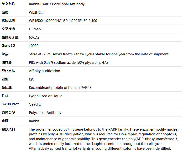 PARP3 Antibody,索莱宝,K005150P-100ul