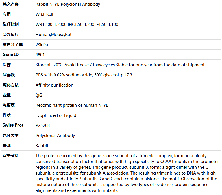 NFYB Antibody,索莱宝,K005148P-50ul