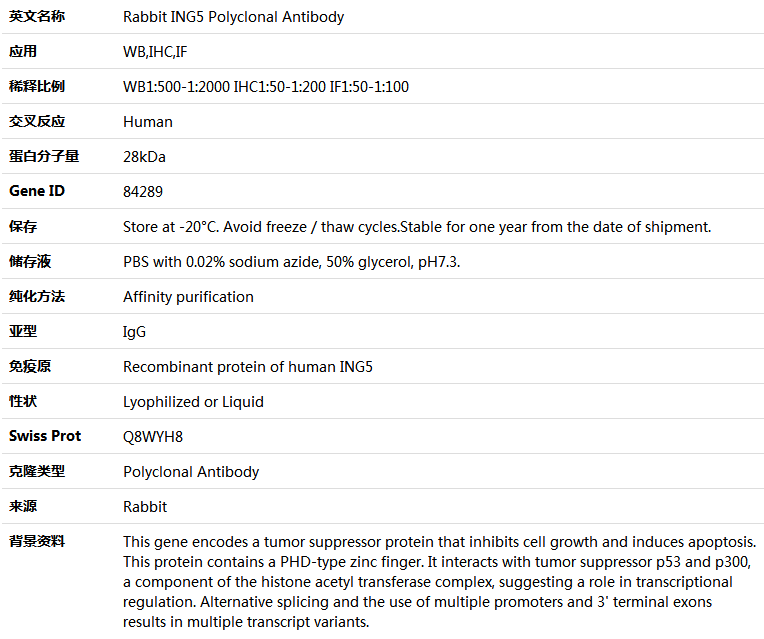 ING5 Antibody,索莱宝,K005141P-100ul