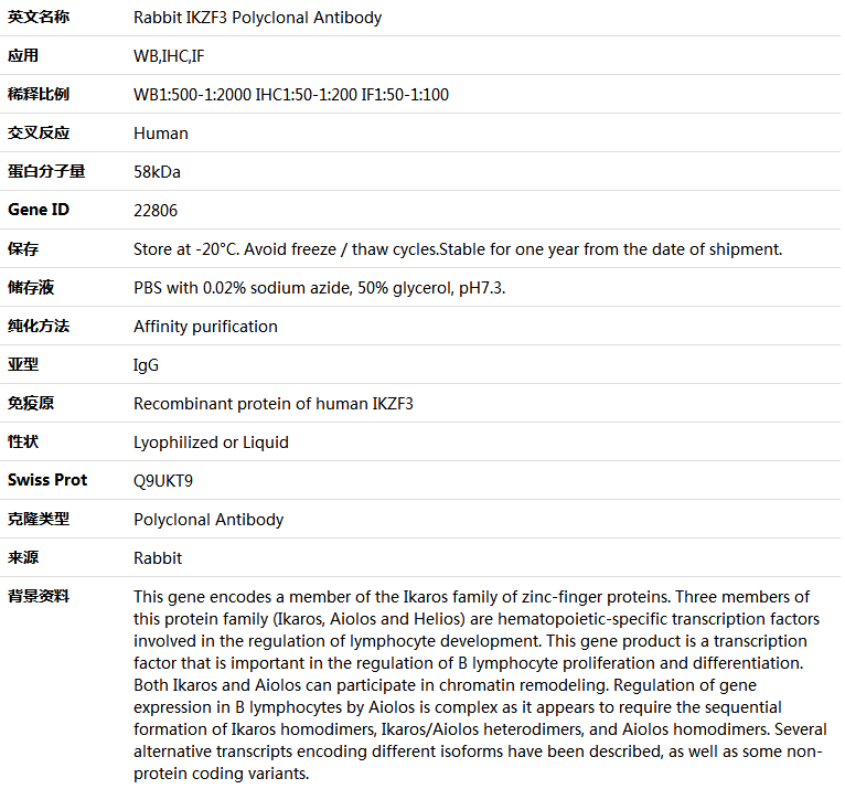 IKZF3 Antibody,索莱宝,K005140P-100ul