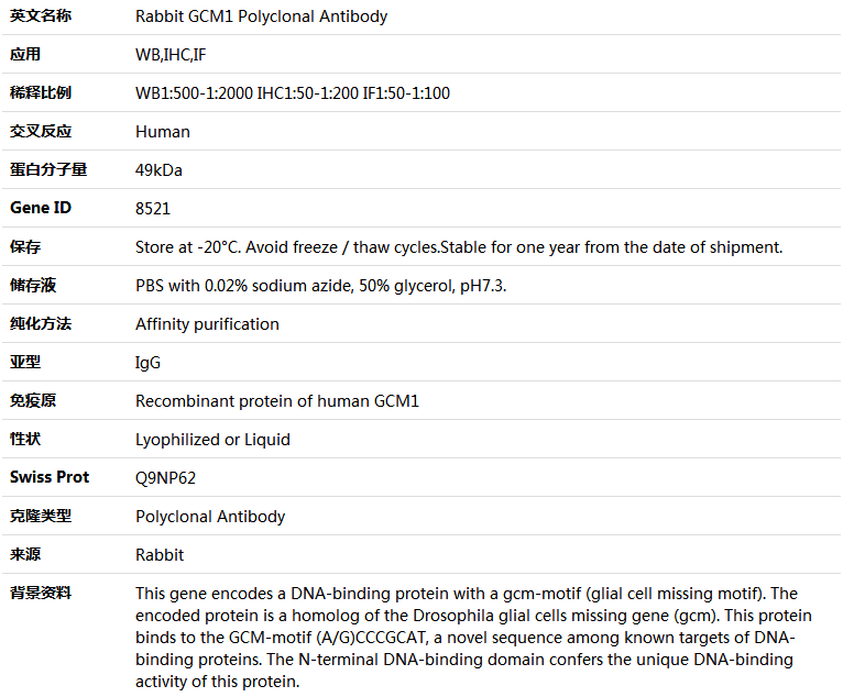 GCM1 Antibody,索莱宝,K005136P-50ul