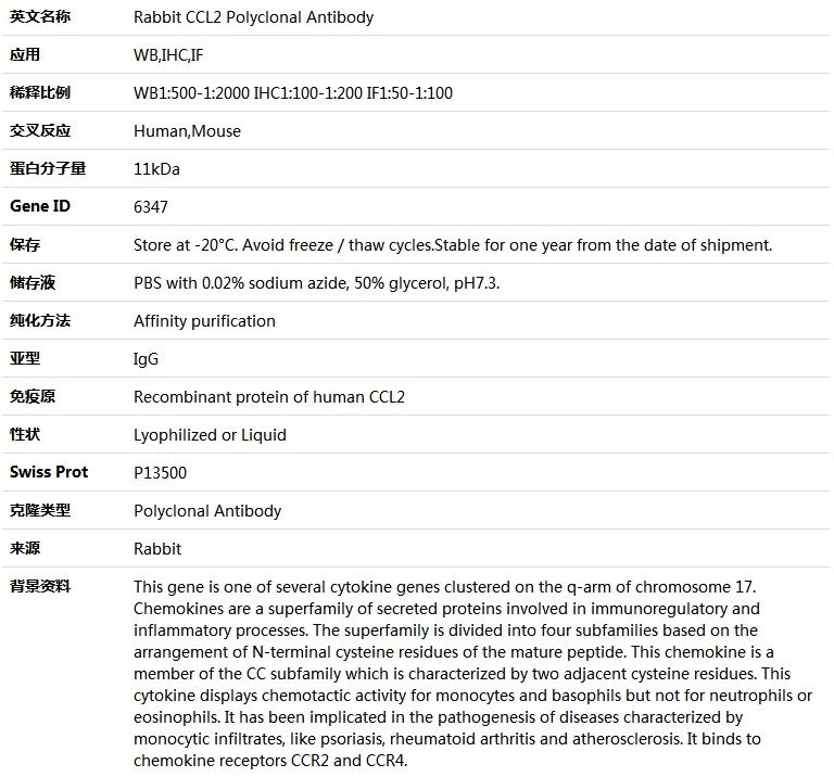 CD47 Antibody,索莱宝,K005132P-100ul