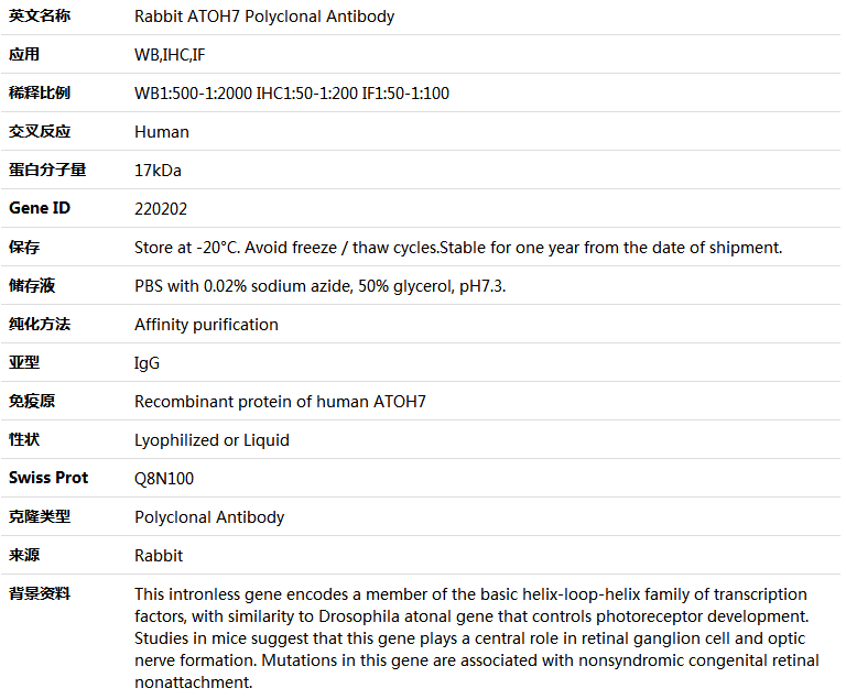 ATOH7 Antibody,索莱宝,K005127P-50ul