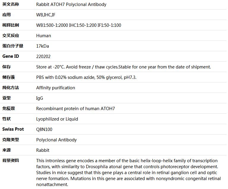 ATOH7 Antibody,索莱宝,K005127P-100ul