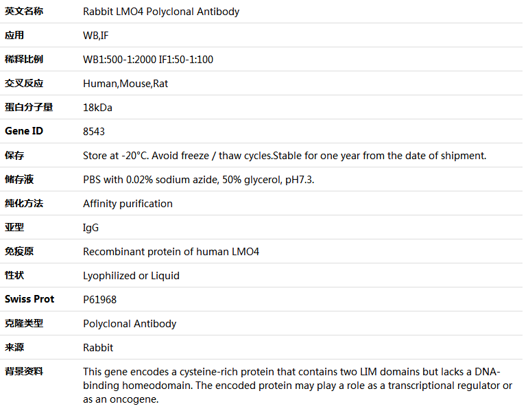 LMO4 Antibody,索莱宝,K005123P-50ul