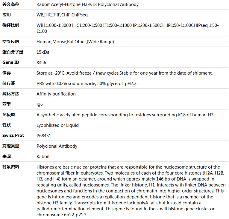 Acetyl-Histone H3-K18 Antibody,索莱宝,K005118P-100ul