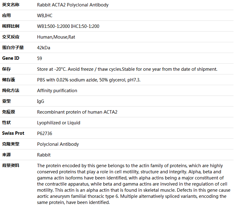 ACTA2 Antibody,索莱宝,K005113P-100ul