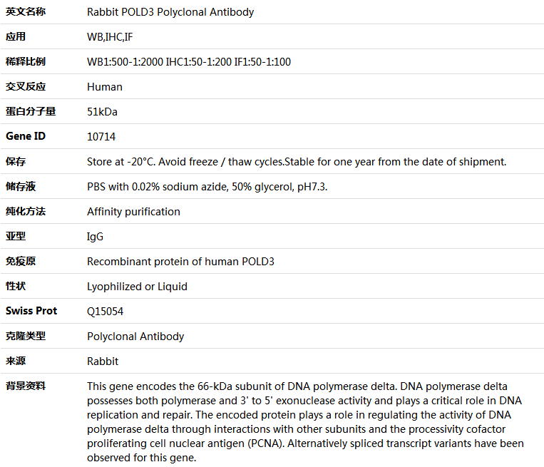 POLD3 Antibody,索莱宝,K005111P-50ul