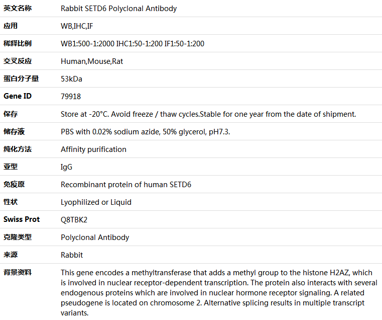 SETD6 Antibody,索莱宝,K005110P-100ul