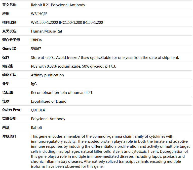 IL21 Antibody,索莱宝,K005108P-100ul