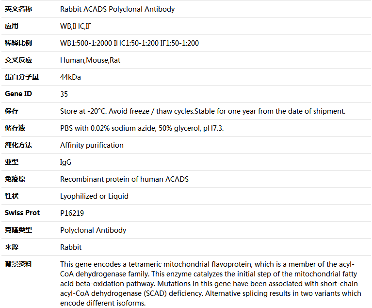 ACADS Antibody,索莱宝,K005103P-100ul