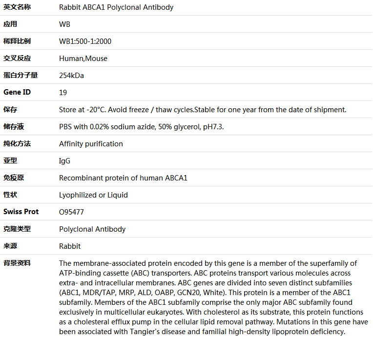 ABCA1 Antibody,索莱宝,K005102P-100ul