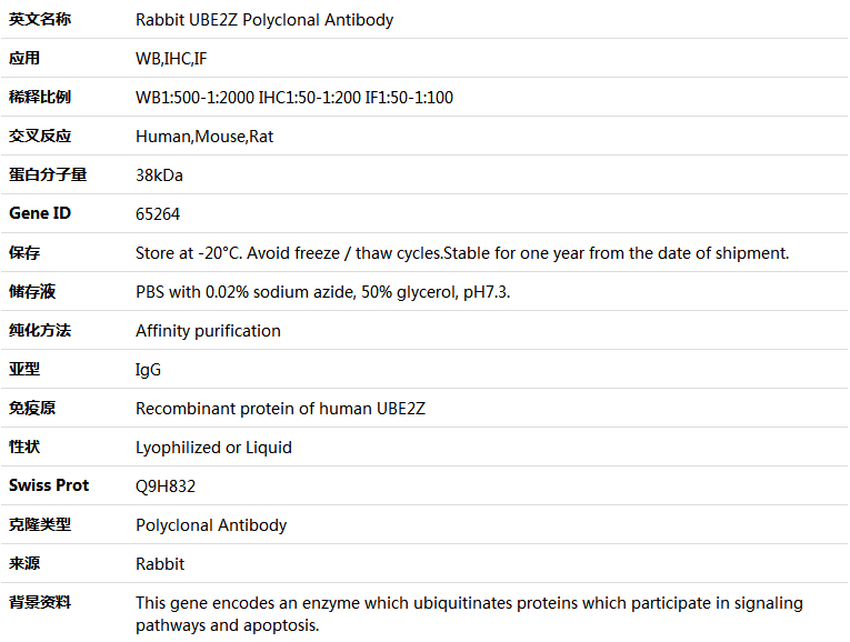 UBE2Z Antibody,索莱宝,K005101P-100ul