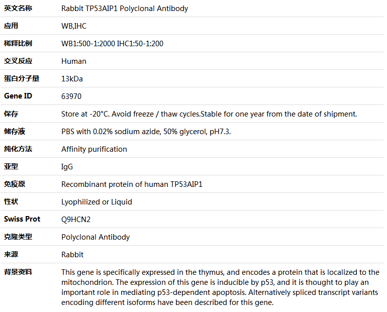 TP53AIP1 Antibody,索莱宝,K005100P-100ul