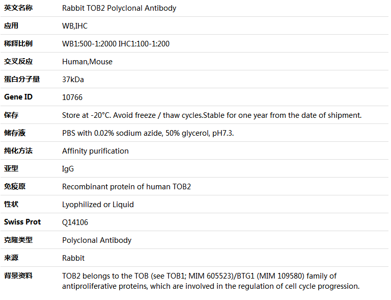 TOB2 Antibody,索莱宝,K005099P-100ul