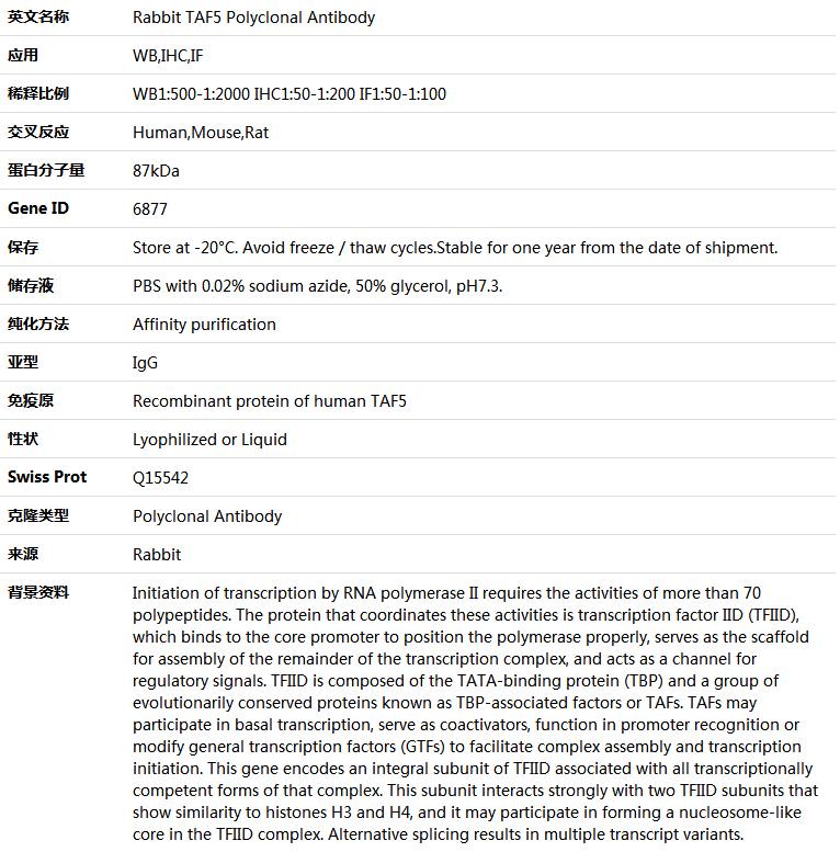 TAF5 Antibody,索莱宝,K005097P-100ul