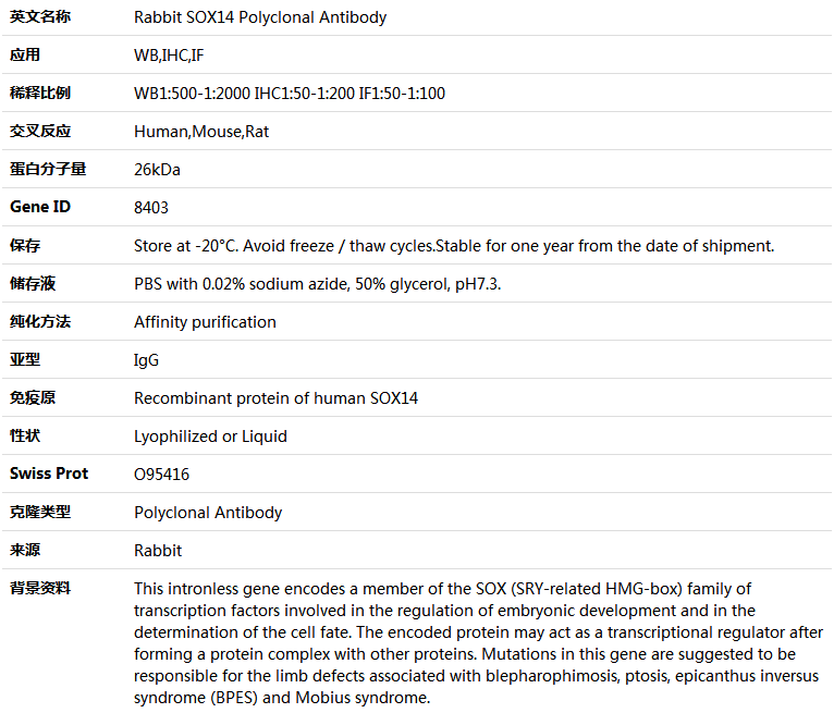 SOX14 Antibody,索莱宝,K005095P-100ul