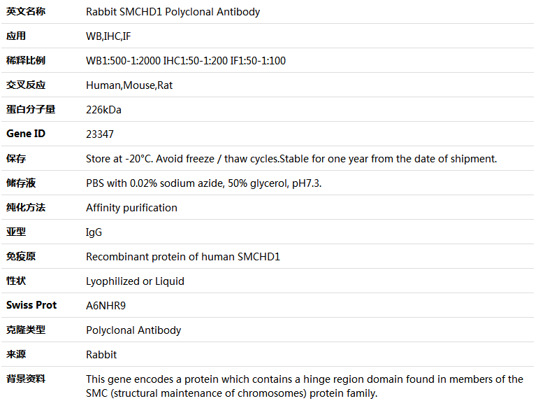SMCHD1 Antibody,索莱宝,K005092P-50ul