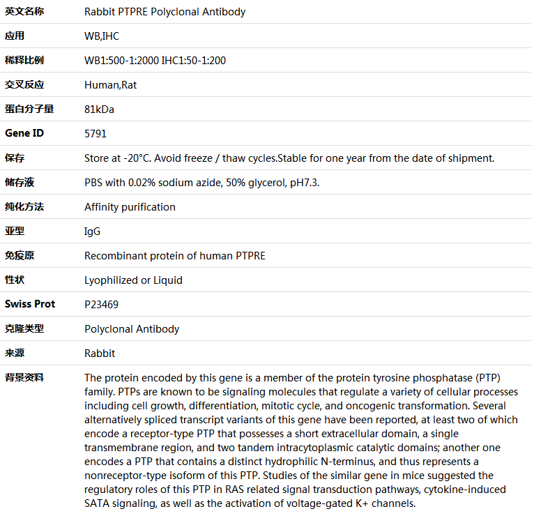 PTPRE Antibody,索莱宝,K005089P-50ul