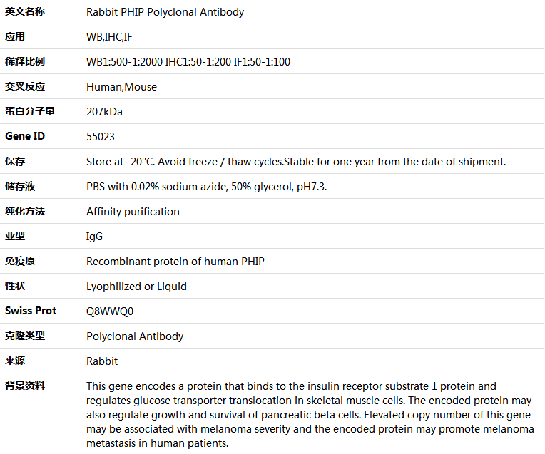 PHIP Antibody,索莱宝,K005087P-100ul