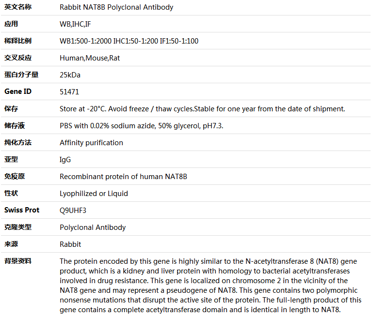 NAT8B Antibody,索莱宝,K005084P-100ul