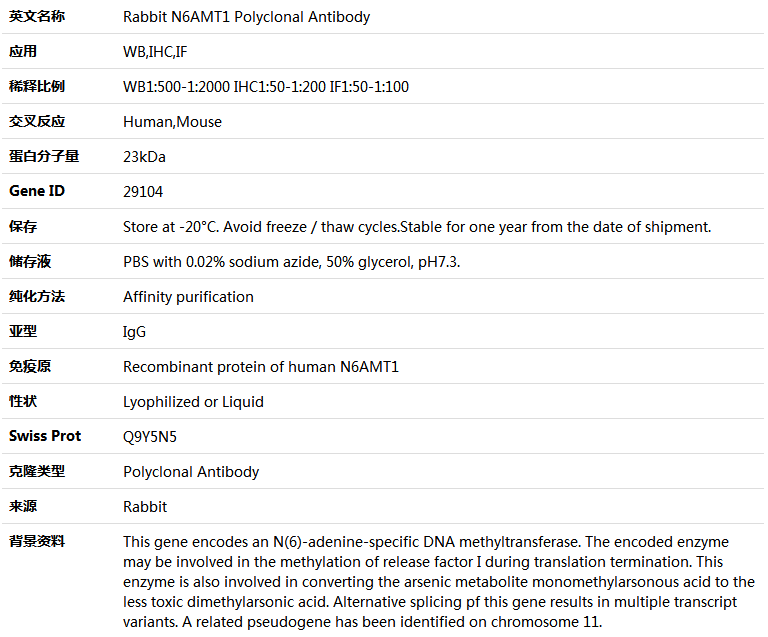 N6AMT1 Antibody,索莱宝,K005083P-50ul