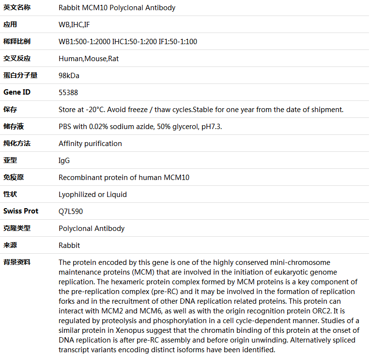MCM10 Antibody,索莱宝,K005082P-100ul