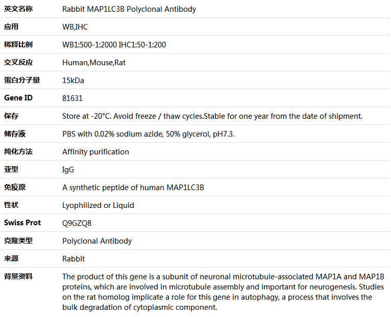 MAP1LC3B Antibody,索莱宝,K005081P-50ul