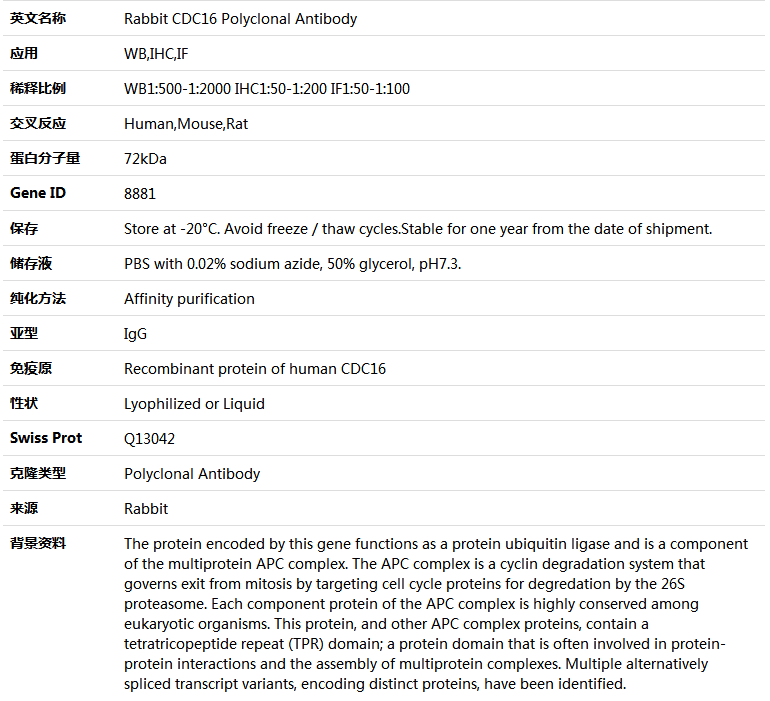 CDC16 Antibody,索莱宝,K005080P-50ul